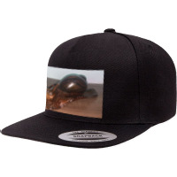 Snail Art Cute Nature Snails T Shirt 5 Panel Snapback Cap | Artistshot