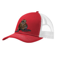 Sea Lion Illustrations Pa Trucker Cap | Artistshot