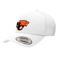 B C Lions Sport Yupoong Trucker Cap | Artistshot