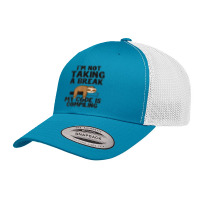 I'm Not Taking A Break My Code Is Compiling Sloth Programmer Retro Trucker Cap | Artistshot