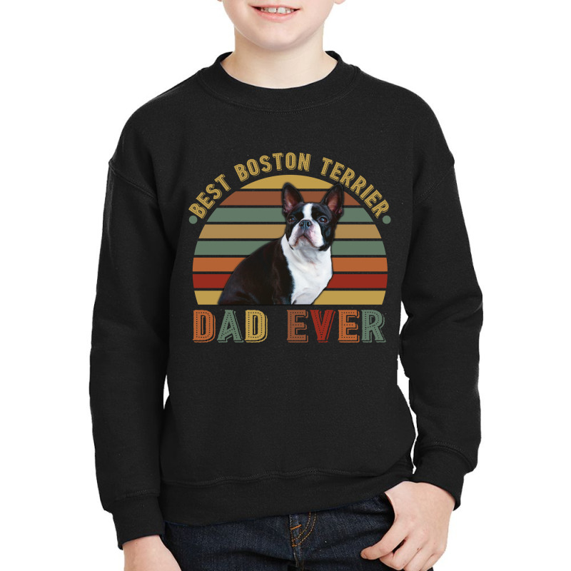 Best Boston Terrier Dad Ever Retro Vintage Father's Day Youth Sweatshirt | Artistshot