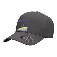 Birthday Gifts Singer Famous Mens Womens Seamless Cap | Artistshot