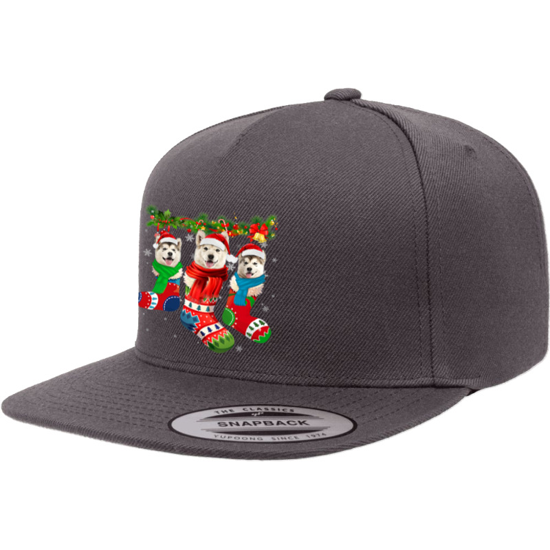 Three Alaskan Malamutes In Christmas Socks T Shirt 5 Panel Snapback Cap | Artistshot