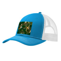 Character Animated Finsie  For Men Women Pa Trucker Cap | Artistshot