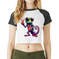 Groovy Peace Chameleon Raglan Crop Top | Artistshot