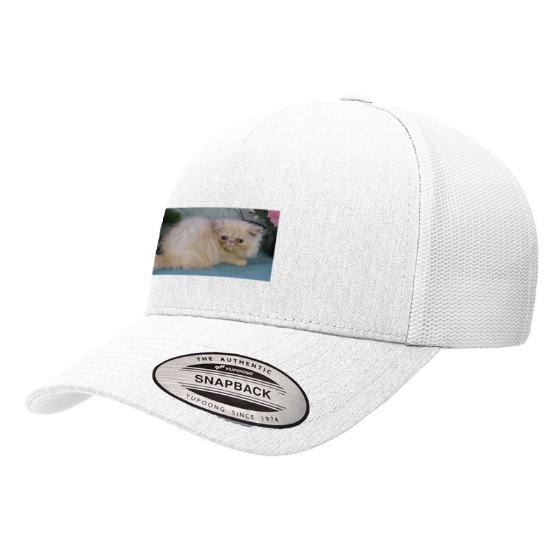 Cream Smoke Persian Yupoong Trucker Cap | Artistshot