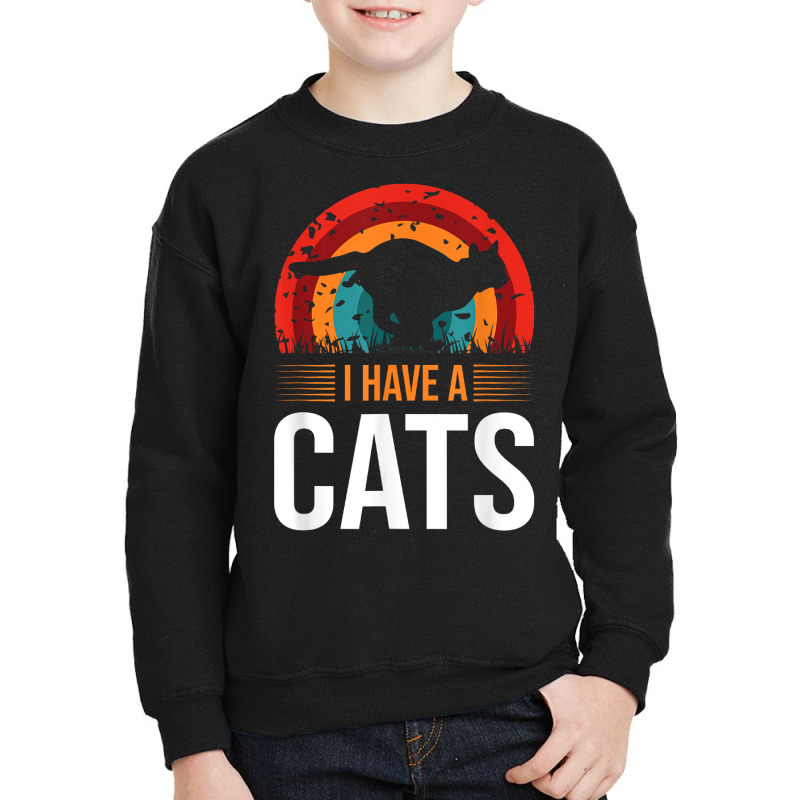 I Have A Cat Youth Sweatshirt by Kasey | Artistshot