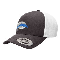 Dolphins Astronomy Mammal Animals Marine Biologists Dolphin Premium T Yupoong Trucker Cap | Artistshot