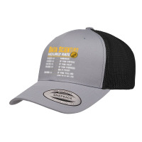 Data Scientist Hourly Rate   Funny Data Analytics Retro Trucker Cap | Artistshot