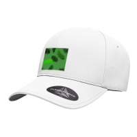 Palm Leaves Seamless Cap | Artistshot