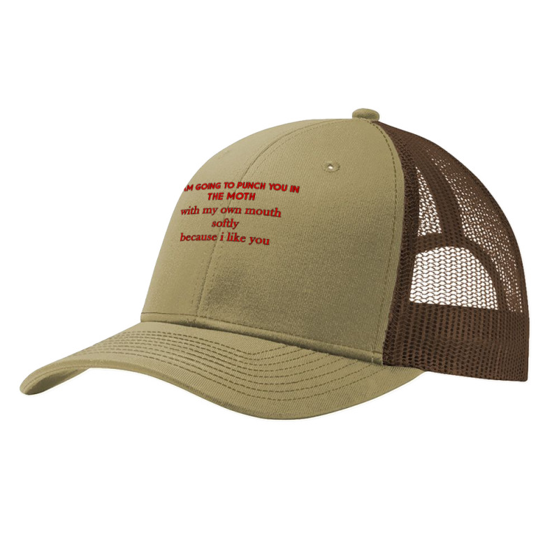 I Am Going To Punch You In The Moth With My Own Mouth Softly T Shirt Pa Trucker Cap | Artistshot