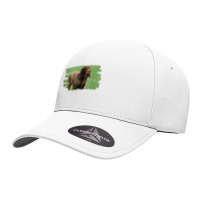 Picardy Spaniel Dog Lover T Shirt Seamless Cap | Artistshot