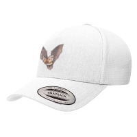 Grey Long Eared Bat Yupoong Trucker Cap | Artistshot