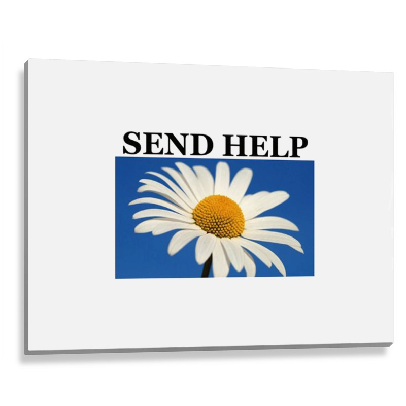 Send Help Metal Print Horizontal | Artistshot