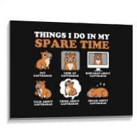 Capybara Lover Things I Do In My Spare Time Metal Print Horizontal | Artistshot