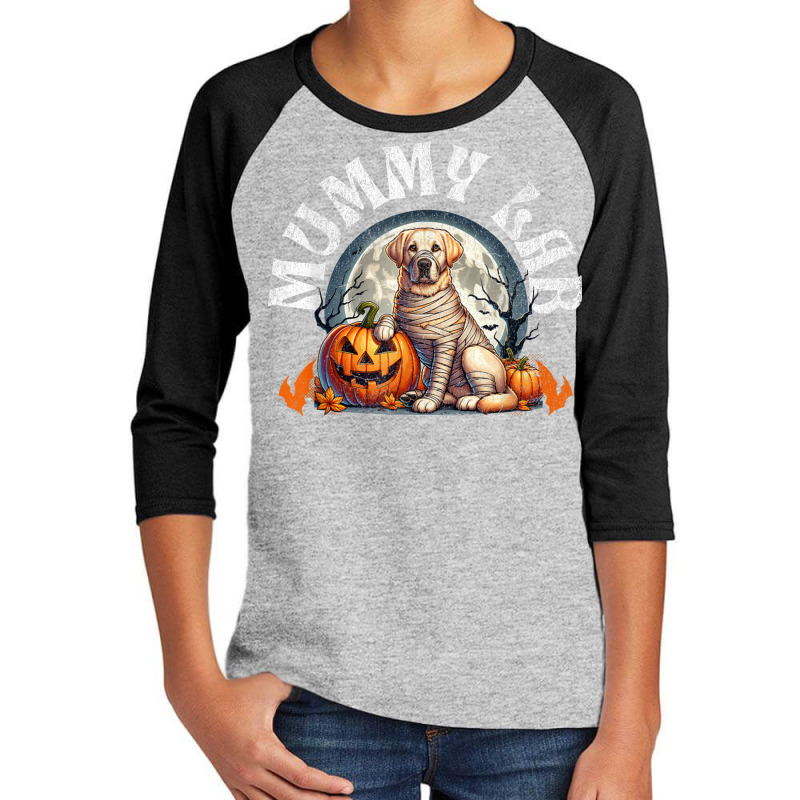 Mummy Lab Halloween Dog Youth 3/4 Sleeve | Artistshot