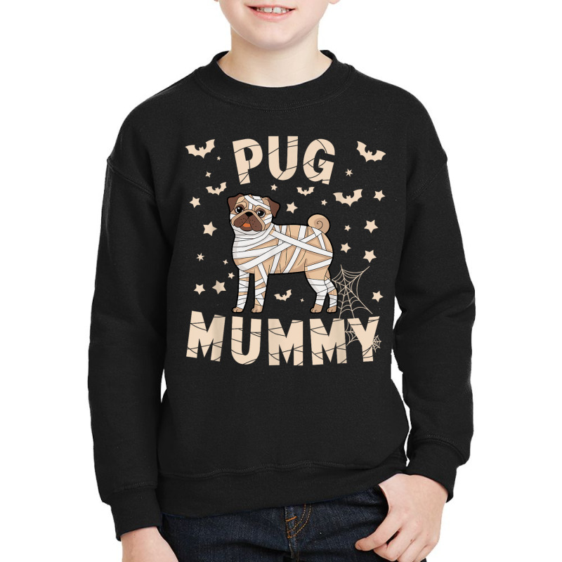 Halloween Costume Pug Lover Youth Sweatshirt by Teresa Simmons | Artistshot