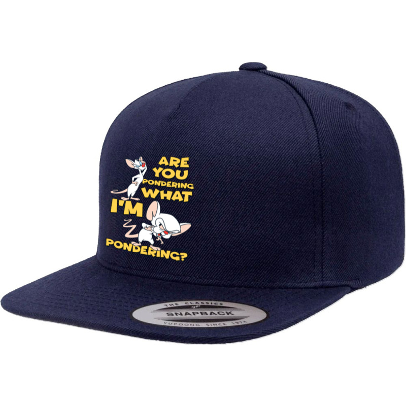 Pinky And The Brain Pondering Long Sleeve T Shirt 5 Panel Snapback Cap | Artistshot