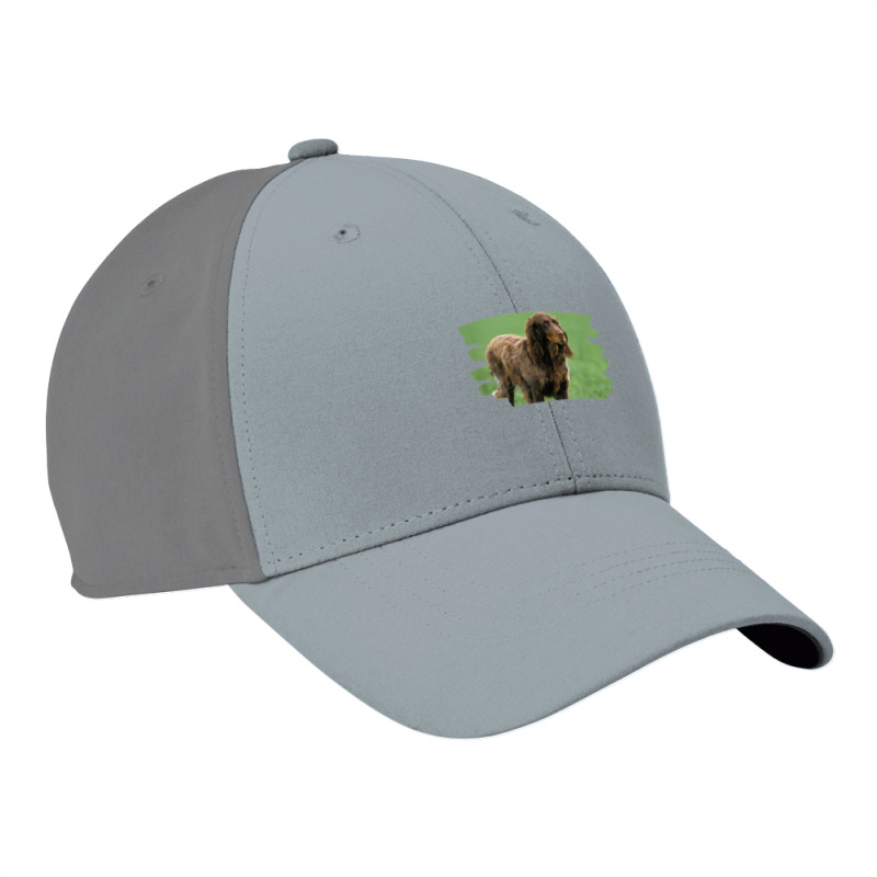 Picardy Spaniel Dog Lover T Shirt Nike Dri-FIT Cap by hankeajrippleex5 | Artistshot