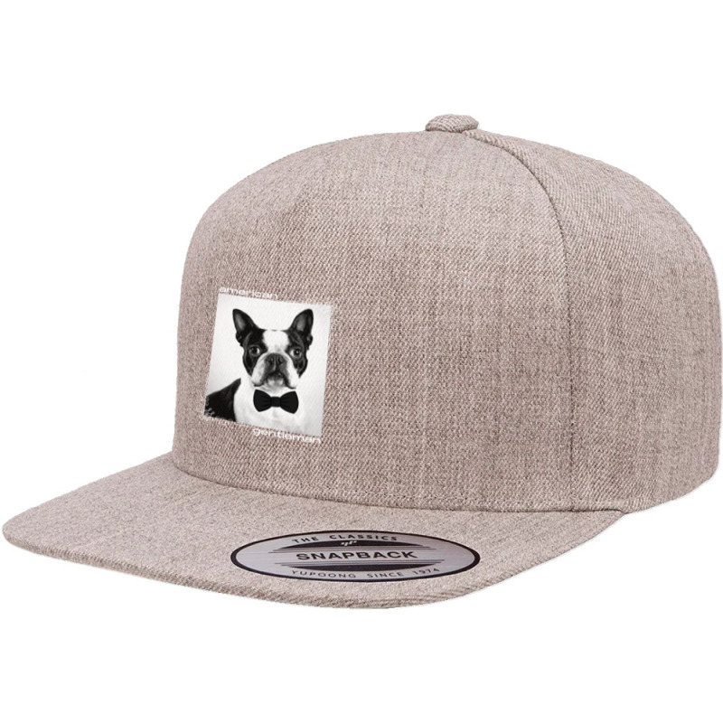 Boston Terrier Bowtie 5 panel snapback cap by AudreyRussian | Artistshot