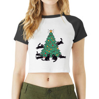 Playful Black Cats Raglan Crop Top | Artistshot