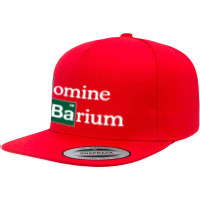 Bromine And Barium Funny Science Funny 5 Panel Snapback Cap | Artistshot