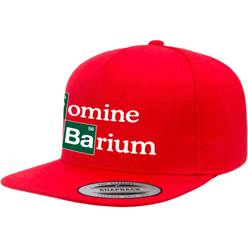 Bromine And Barium Funny Science Funny 5 panel snapback cap by cm-arts | Artistshot