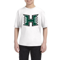 Hampshire High School, Romney Youth Tee | Artistshot