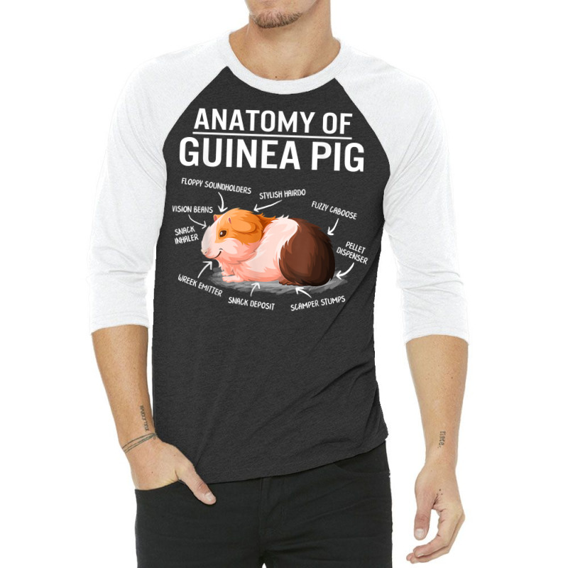 Anatomy Of Guinea Pig Cute Furry Potato Mom Cavy Mama Mother T Shirt 3/4 Sleeve Shirt | Artistshot