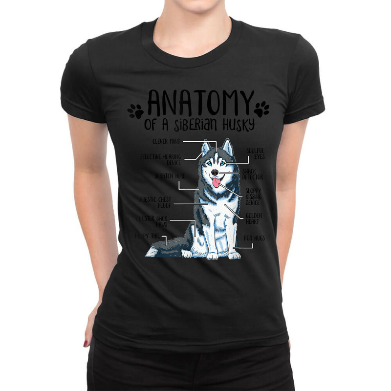 Funny Anatomy Siberian Husky Dog Lover T Shirt Ladies Fitted T-Shirt by men.adam | Artistshot