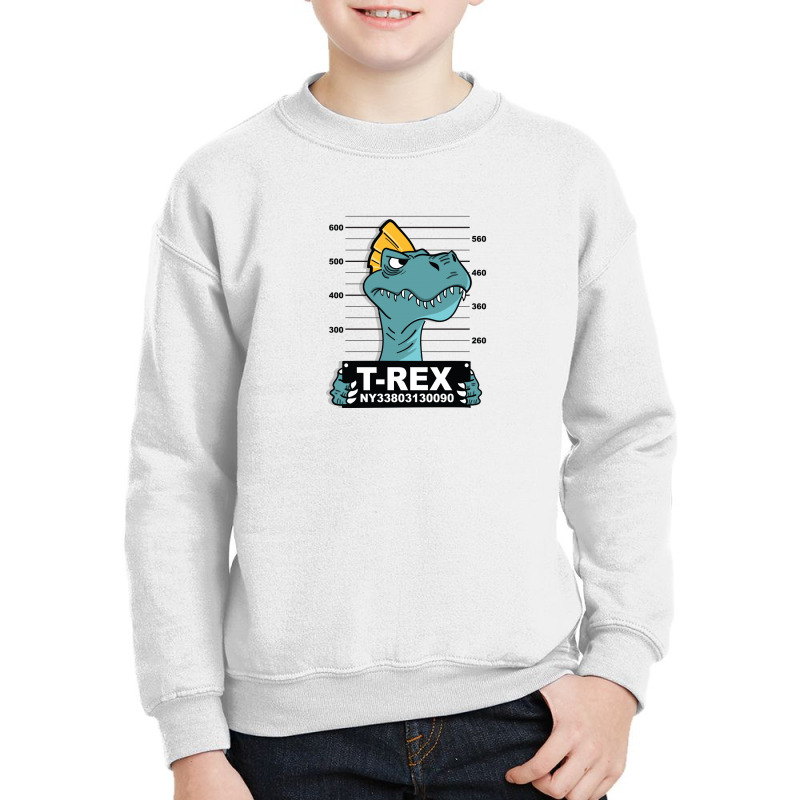 Trex Youth Sweatshirt by Disgus_Thing | Artistshot