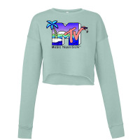 Funny Music Flamingo Tv Beach Island  Vintage Cropped Sweater | Artistshot