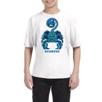 Scorpio personality Astrology Zodiac Sign Horoscope Design Pullover H Youth Tee | Artistshot