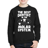 The Best Dentist In The Molar System Dentistry Dental Gift T Shirt Youth Sweatshirt | Artistshot