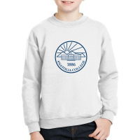 Anatolia College Seal Youth Sweatshirt | Artistshot