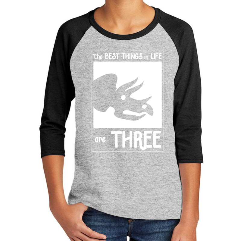 The Best Things In Life Are Three Youth 3/4 Sleeve by michaelnaher | Artistshot