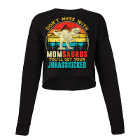 Womens Fun Women Retro Momsaurus Dinosaur T Rex Mothers Day T Shirt Cropped Sweater | Artistshot