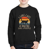 I Like Cats And Maybe Like 3 People Cat Retro Men Youth Sweatshirt | Artistshot