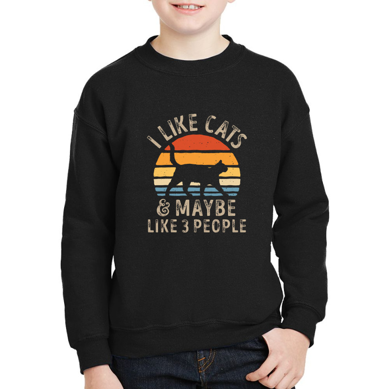 I Like Cats And Maybe Like 3 People Cat Retro Men Youth Sweatshirt by hajarbor | Artistshot