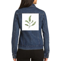 Leaves Watercolor Art Gardener Plant Print Decor Gift Premium T Shirt Ladies Denim Jacket | Artistshot