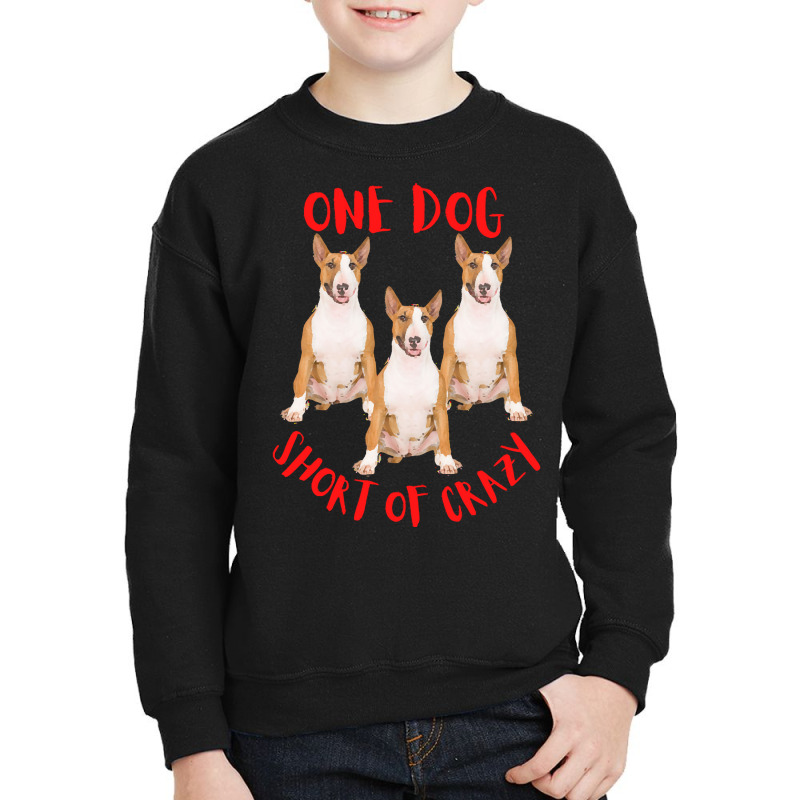 One Dog Short Of Crazy T  Shirtone Dog Short Of Crazy T  Shirt (11) Youth Sweatshirt | Artistshot