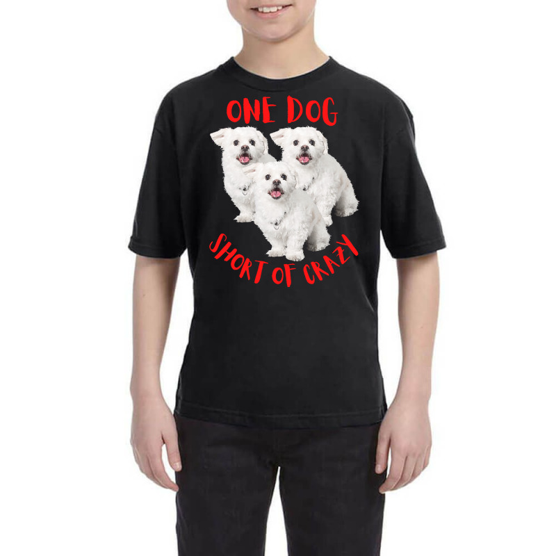 One Dog Short Of Crazy T  Shirtone Dog Short Of Crazy T  Shirt (13) Youth Tee | Artistshot