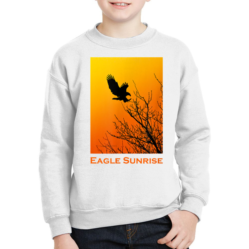 Bald Eagle Sunrise T Shirt Youth Sweatshirt | Artistshot