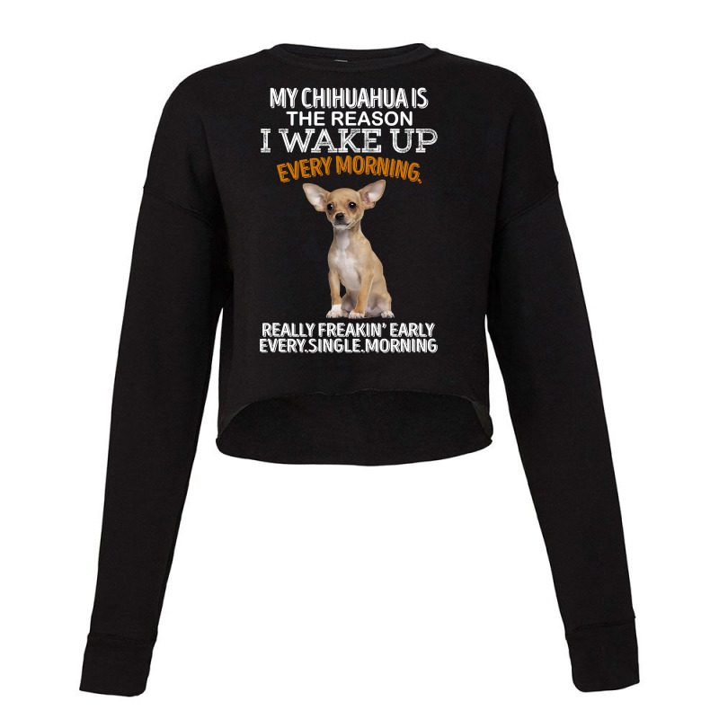 Chihuahua Dog Is The Reason I Wake Up Every Morning 205 Chihuahuas Cropped Sweater by offensejuggler | Artistshot