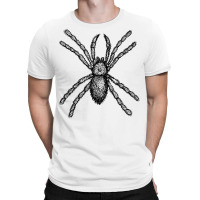 Tarantula Insect T Shirt T-shirt | Artistshot