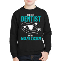 Best Dentist In The Molar System Dental Hygienist Dentist T Shirt Youth Sweatshirt | Artistshot