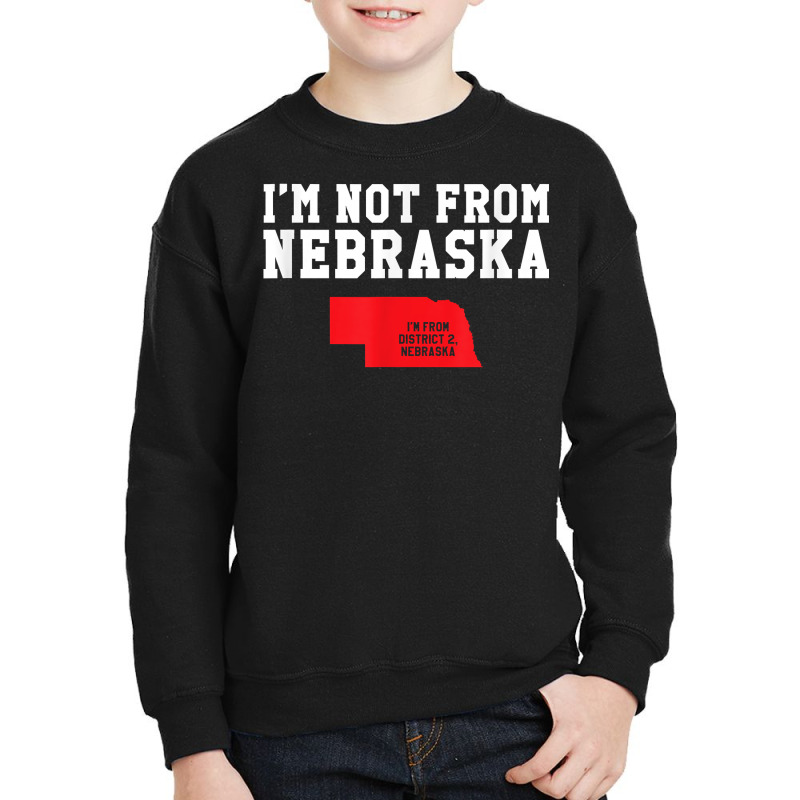 Nebraska District 2 Voter, Funny D2 Democrat T Shirt Copy Copy Copy Co Youth Sweatshirt by sosieclaton | Artistshot