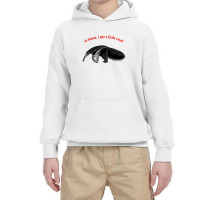 At Times I Get A Little Cruel ∆ Nihilist Anteater Design Youth Hoodie | Artistshot