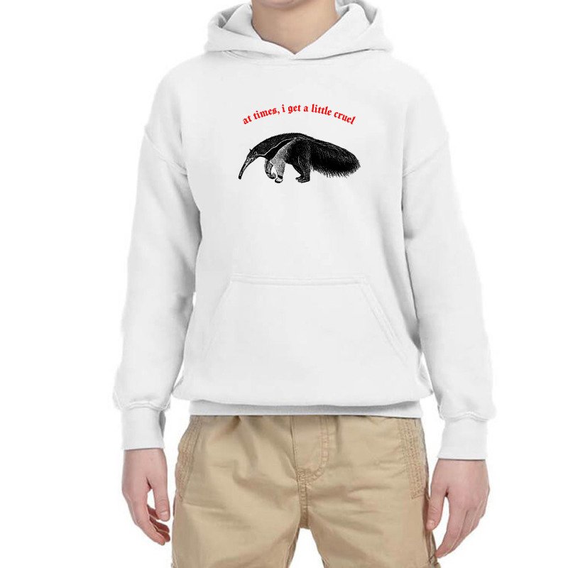 At Times I Get A Little Cruel ∆ Nihilist Anteater Design Youth Hoodie by methadelphi | Artistshot