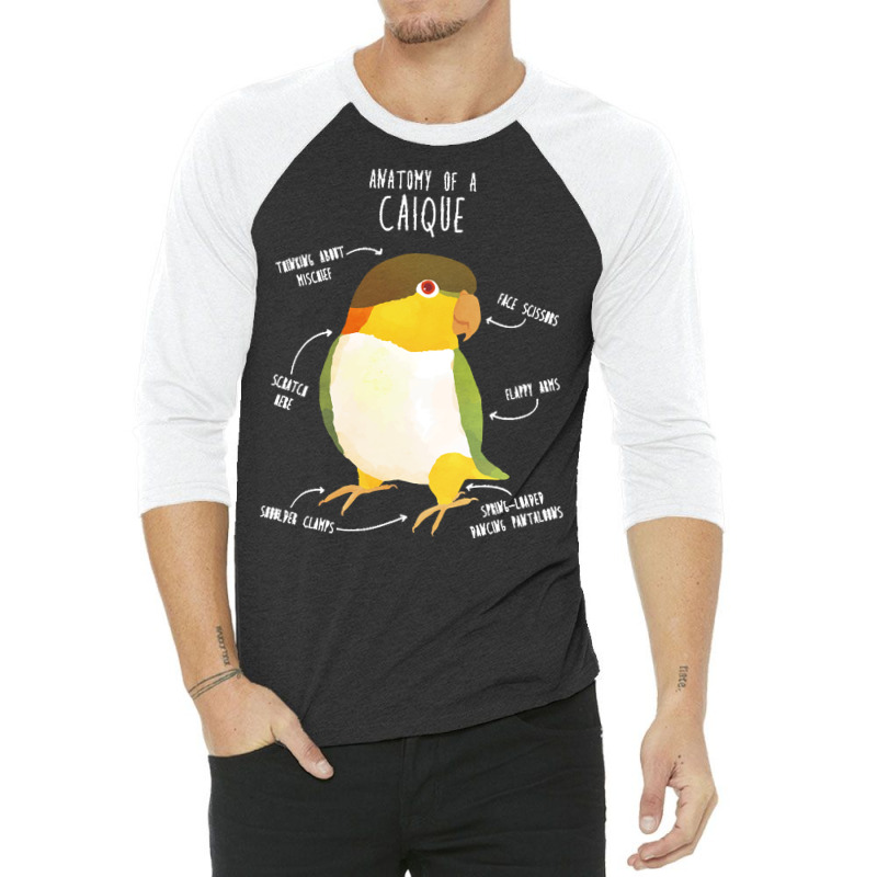 Caique T  Shirt Anatomy Of A Black  Headed Caique T  Shirt 3/4 Sleeve Shirt | Artistshot